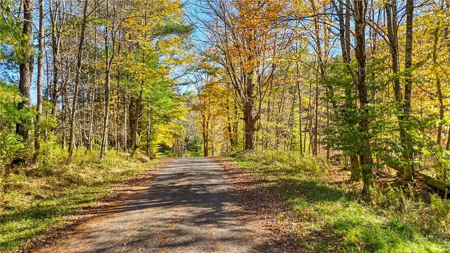 Deputron Hollow Road, Brooktondale, NY 14817 - #2