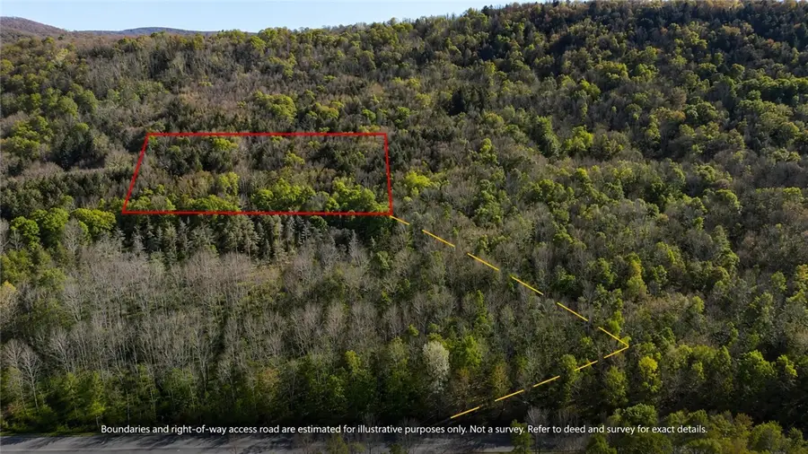 Lot 5 East River Road, Andes, NY 13731 - #3