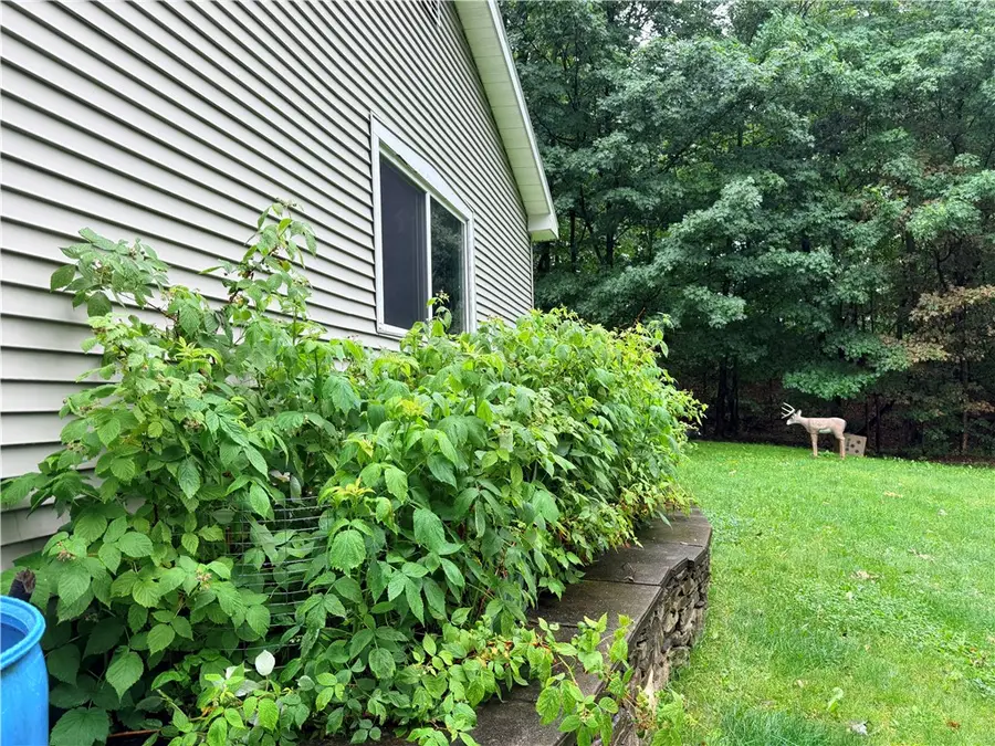 3227 Swain Hill Road, Swain, NY 14884 - #3