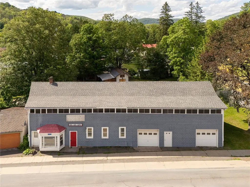 5572 Washington Street, Prattsville, NY 12468 - #1