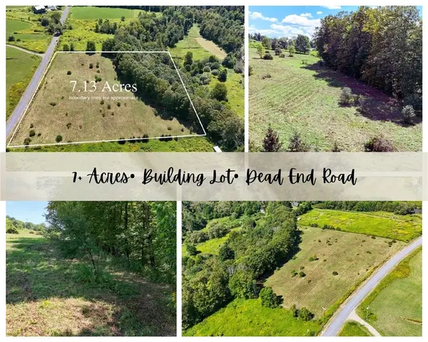 100 Pomeroy Road, Franklin, NY 13775