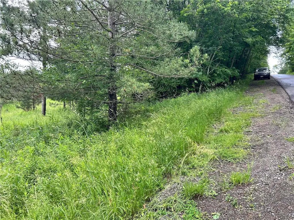 Mary Brown Hill Road, Laurens, NY 13796 - #1