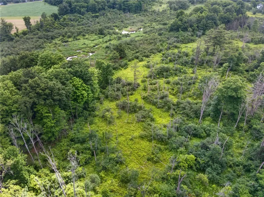 000 Ellis Hollow Road, Ithaca, NY 14850 - #2