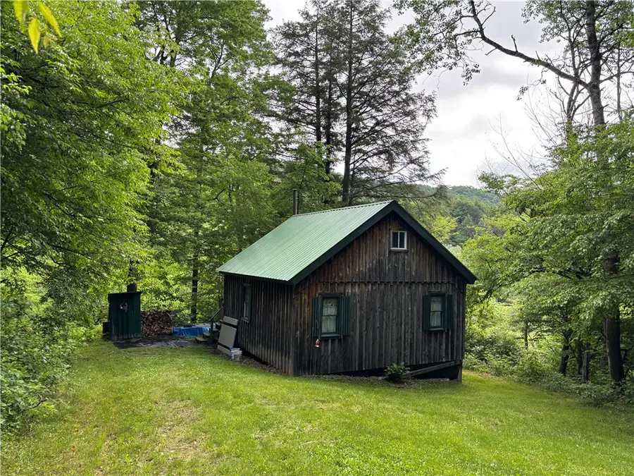 Lot #4.233 County Road 13, Otselic, NY 13072 - #2