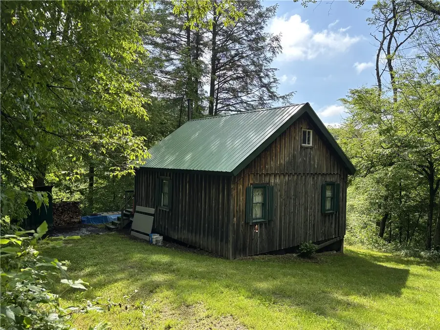 Lot #4.233 County Road 13, Otselic, NY 13072 - #3