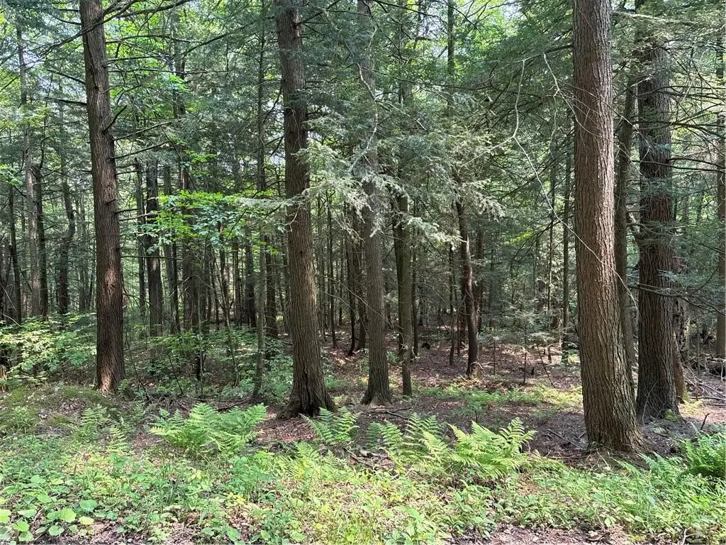 Spring Road S, Dansville, NY 14437 - #1