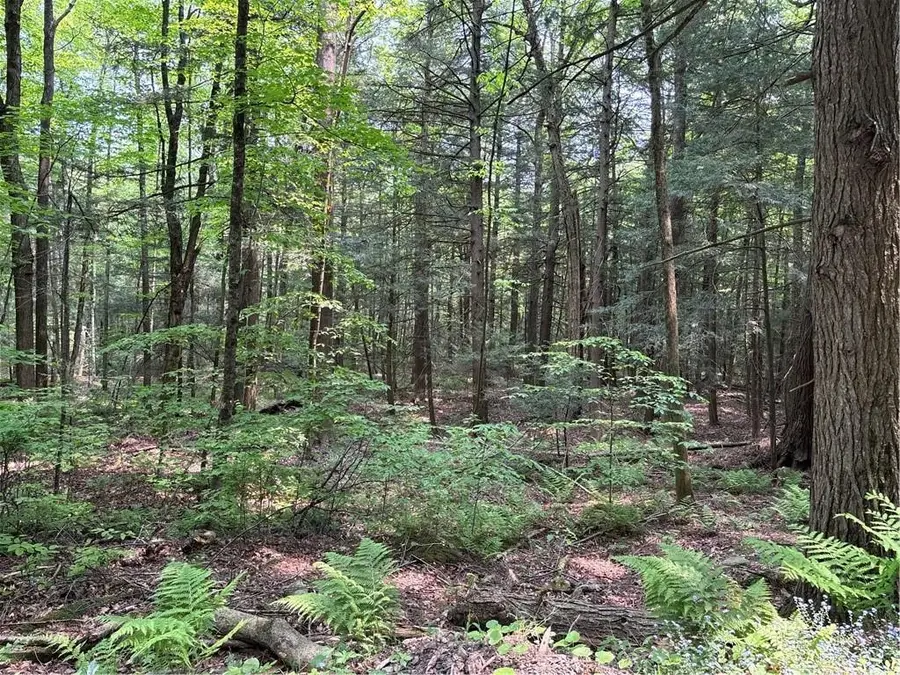 Spring Road S, Dansville, NY 14437 - #2