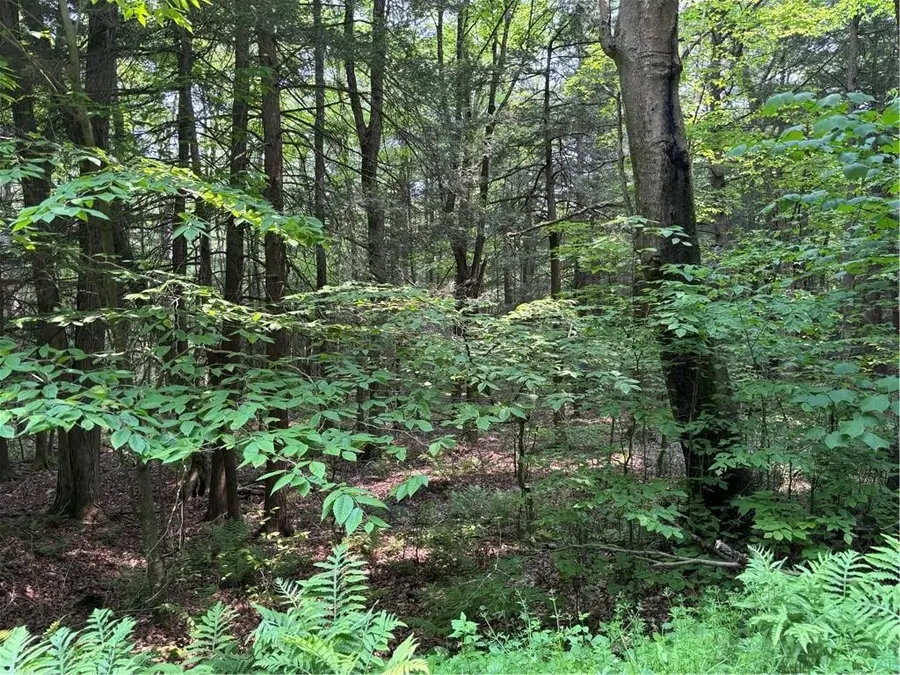 Spring Road S, Dansville, NY 14437 - #3