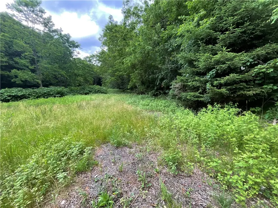 7537 East Avenue, Springwater, NY 14560 - #3