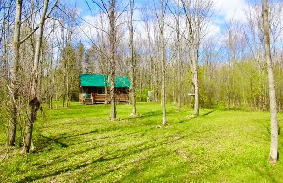 330 Cummings Road, Pulaski, NY 13142 - #2