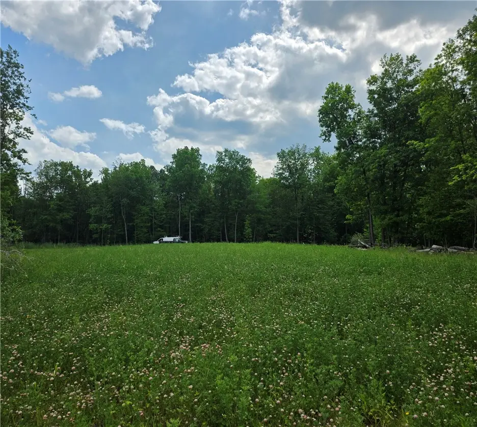 6221 Cleary Road, Livonia, NY 14487 - #1