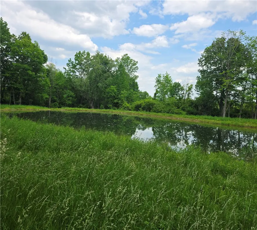 6221 Cleary Road, Livonia, NY 14487 - #2