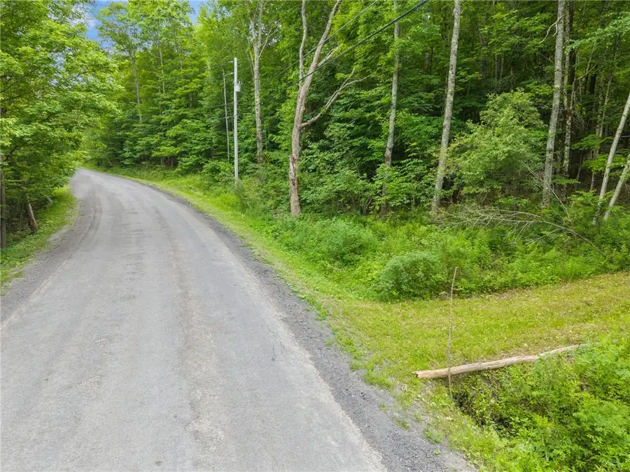 441 Dodge Lodge Road, Richmondville, NY 12149 - #2