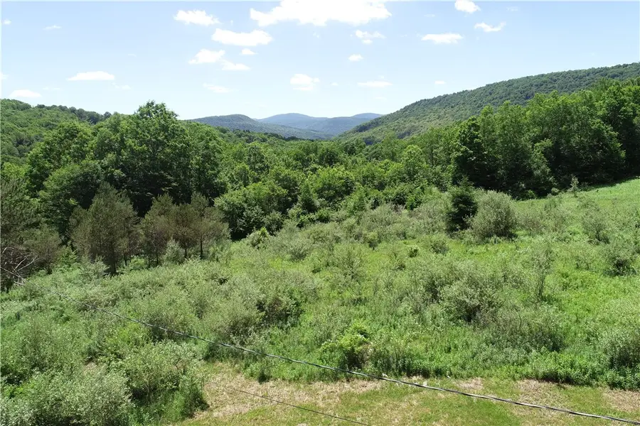 2636 Murphy Hill Road, Andes, NY 13731 - #3