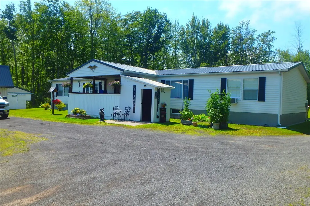 10854 Duck Lake Road, Red Creek, NY 13143 - #1