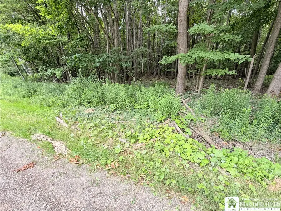 0 Panama-stedman Road, Mayville, NY 14757 - #2
