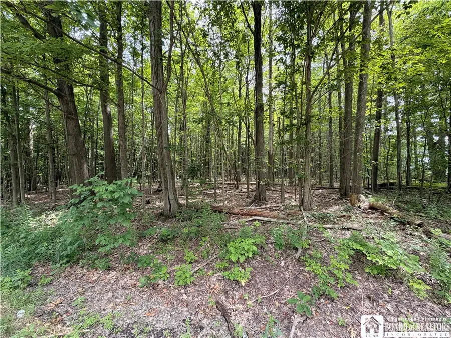 0 Panama-stedman Road, Mayville, NY 14757 - #3