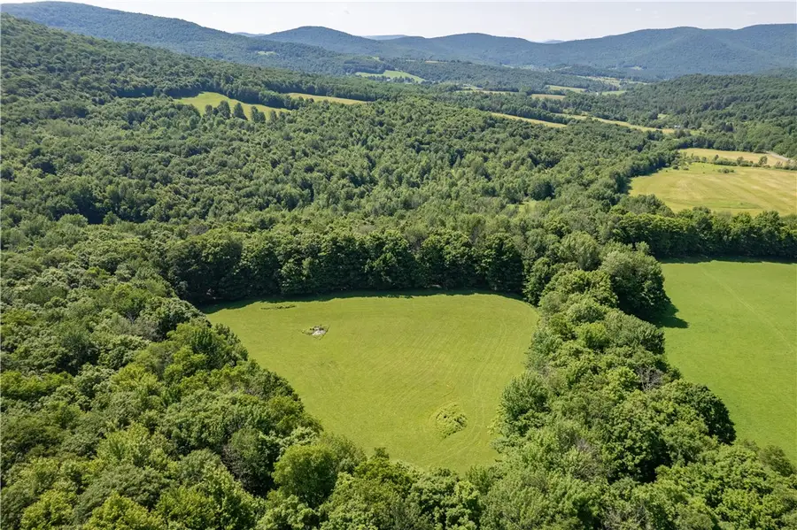 Lot 43 Tower Mountain Road, Stamford, NY 12167 - #3