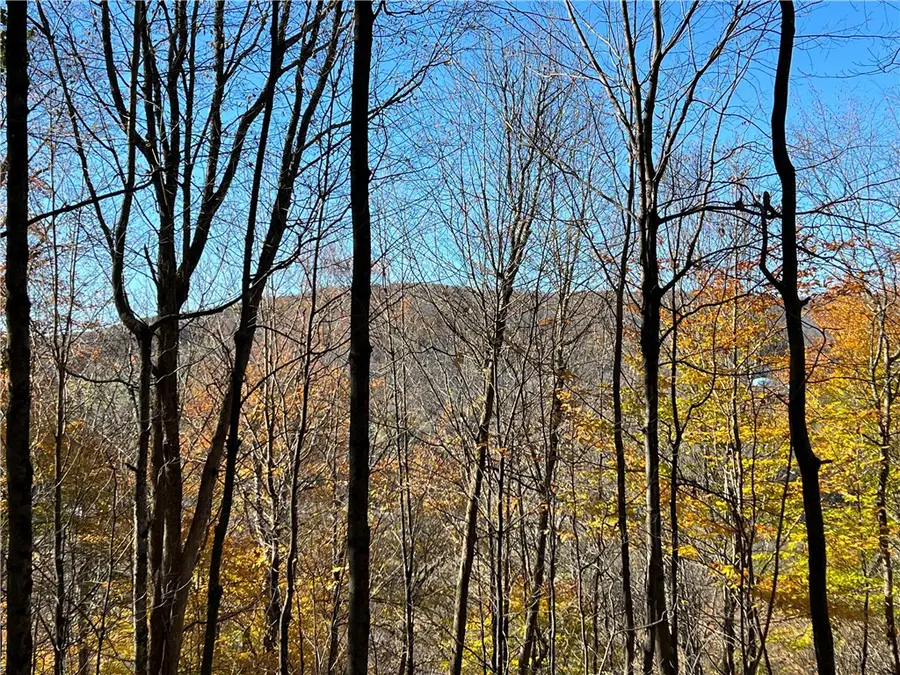 lot 149.20-2-3 Delaware Avenue, Delhi, NY 13753 - #2