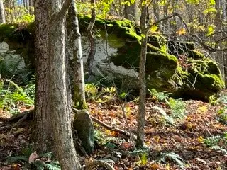 lot 149.20-2-3 Delaware Avenue, Delhi, NY 13753 - #3