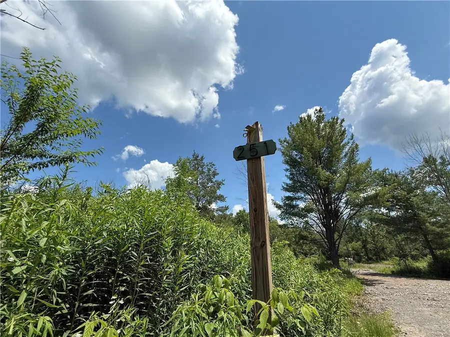 Caswell Road, Freeville, NY 13068 - #2