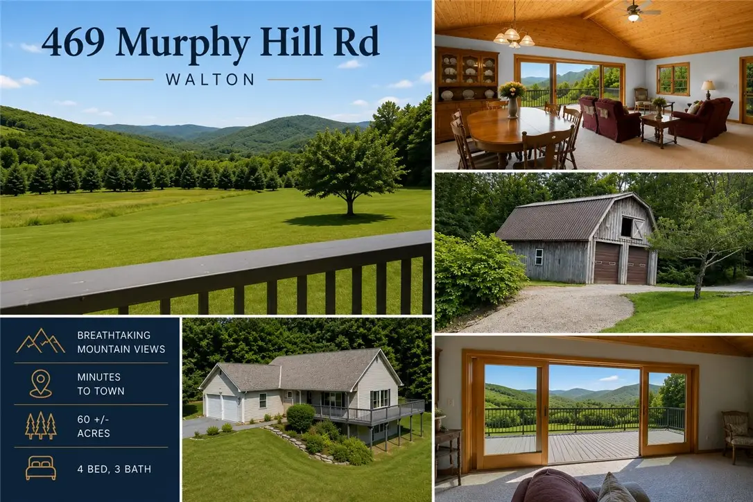 469 Murphy Hill Road, Walton, NY 13856 - #1