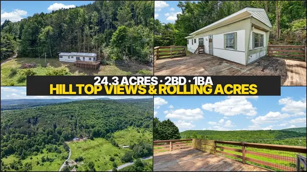 118 Lookout Drive, Charlotteville, NY 12036