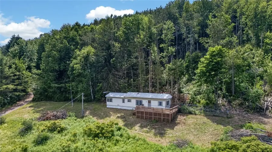 118 Lookout Drive, Charlotteville, NY 12036 - #2