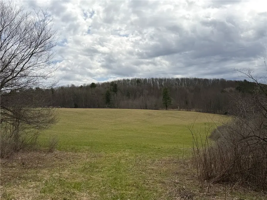 Lot 7 Summit Road, Cuba, NY 14727 - #3