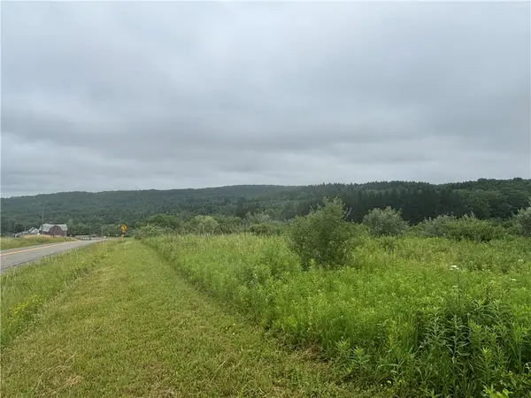VL Lot 2 County Route 46, Dansville, NY 14437