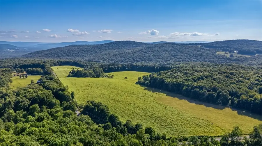 L14.01 Hinman Road, Cooperstown, NY 13326 - #3