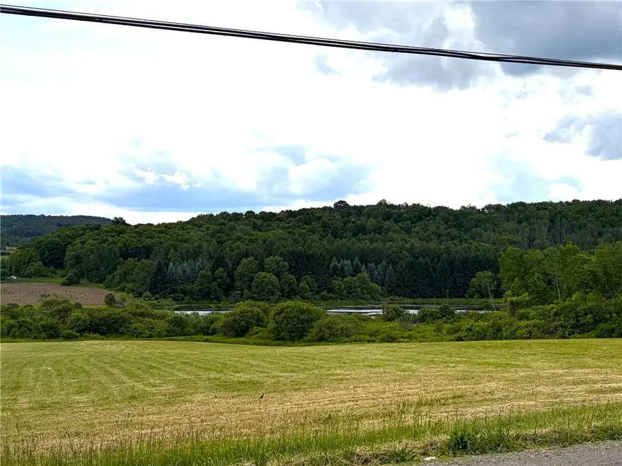 Lot 3 Summit Road, Cuba, NY 14727 - #3