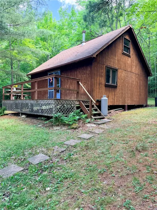 1667 Coon Hollow Road, Beaver Dams, NY 14812