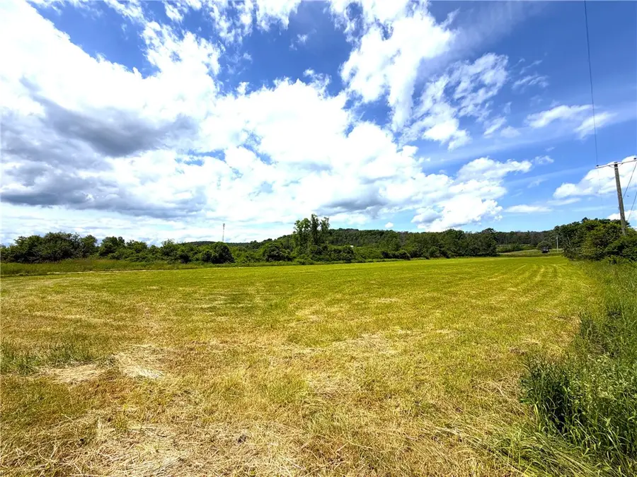 Lot 4 Summit Road, Cuba, NY 14727 - #3