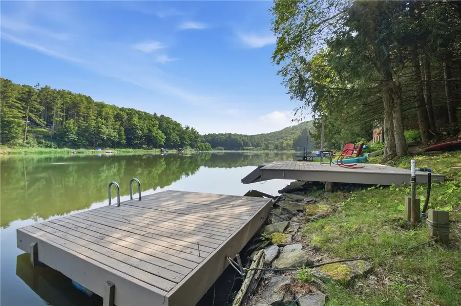 3819 S Goodhue Lake Road, Addison, NY 14801 - #3