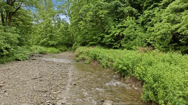 6070 Italy Valley Road, Naples, NY 14512 - #3