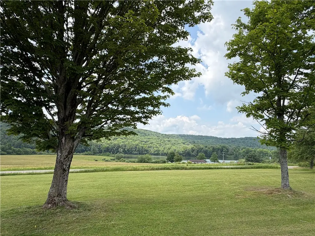 VL Lyndon Abbott Road, Franklinville, NY 14737 - #1