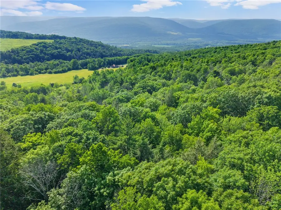 Guinea Road, Middleburgh, NY 12122 - #3