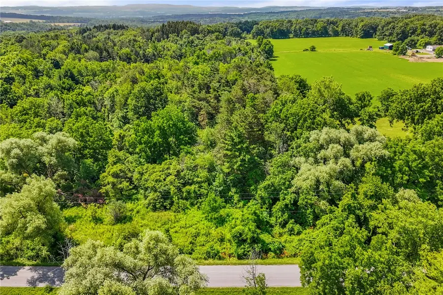 0 Seneca Road, Trumansburg, NY 14886 - #3