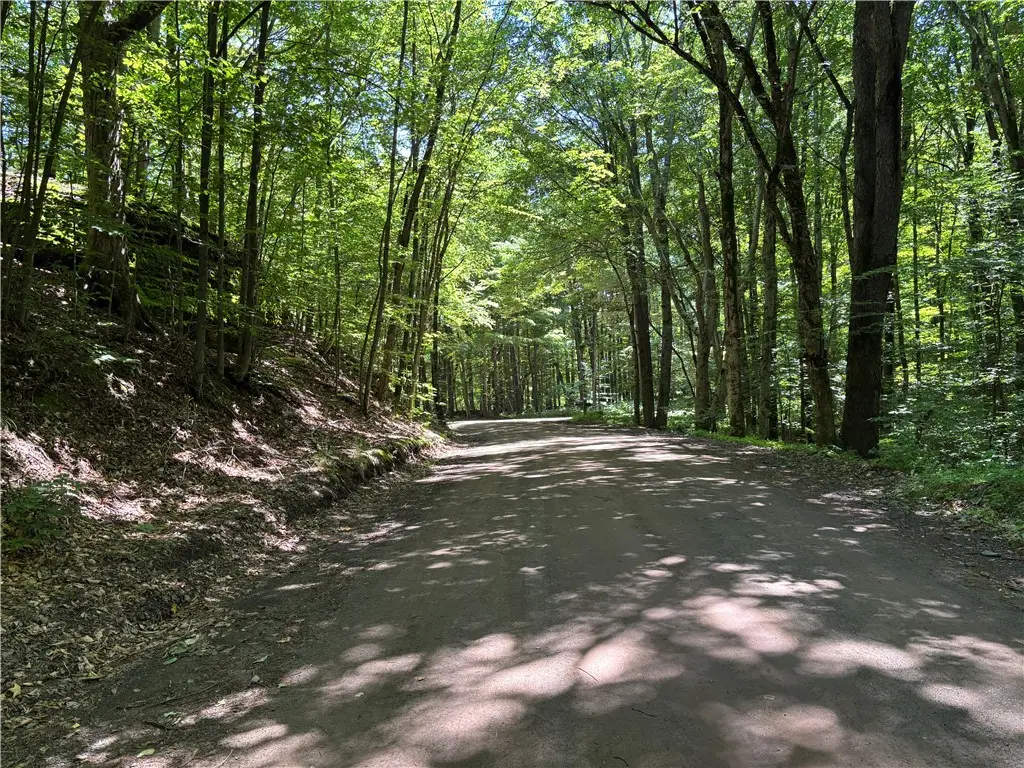 0 Mckee Hill Road, East Meredith, NY 13757 - #1