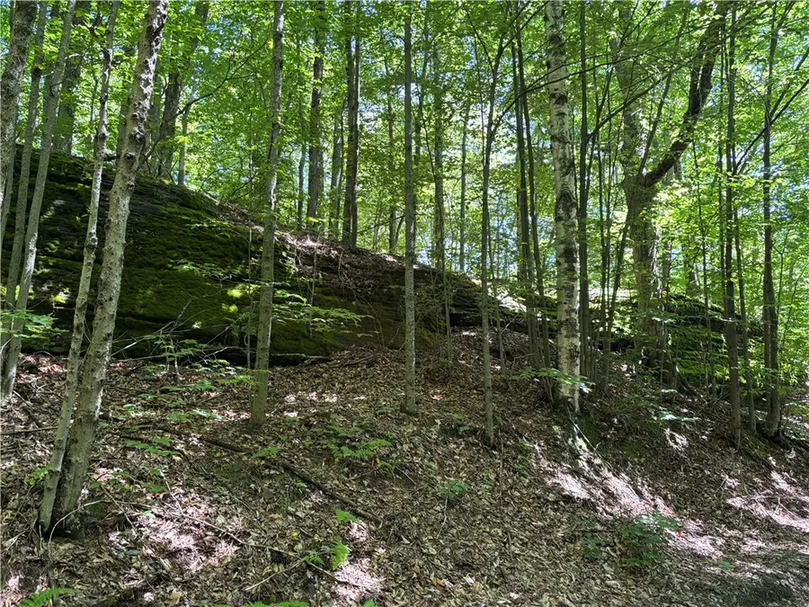 0 Mckee Hill Road, East Meredith, NY 13757 - #3