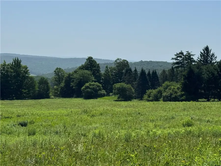 Wilbur Hill Road, Butternuts, NY 13776 - #3