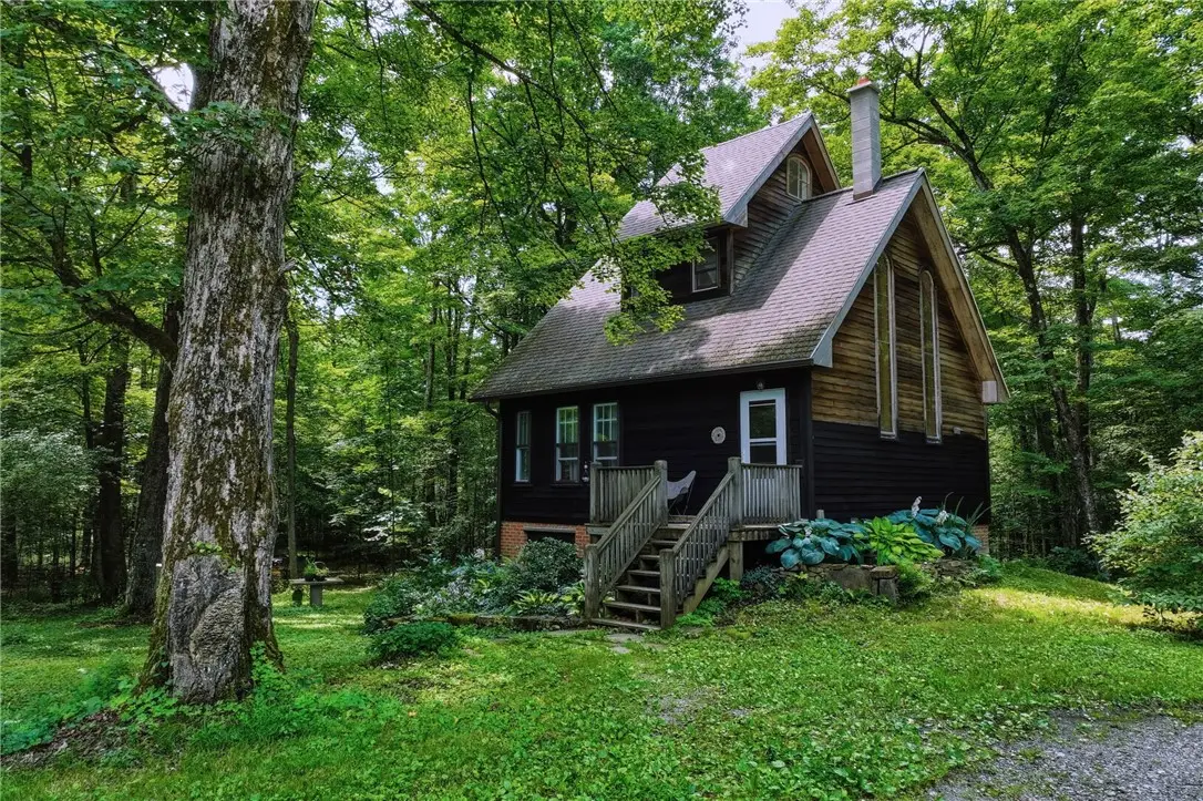 331 Downey Road, Brooktondale, NY 14817 - #1