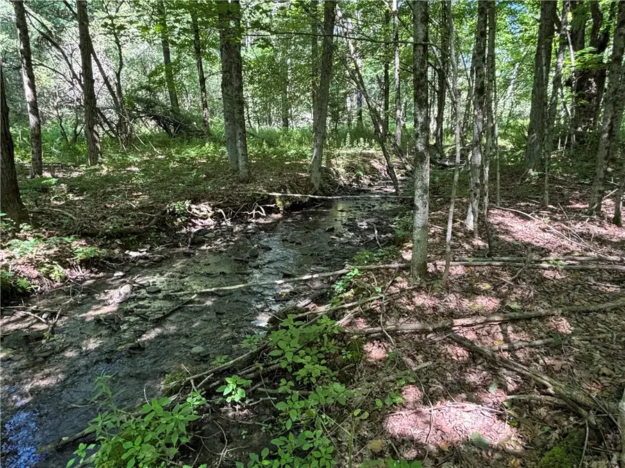 0 Cronin Road, Schenevus, NY 12155 - #3