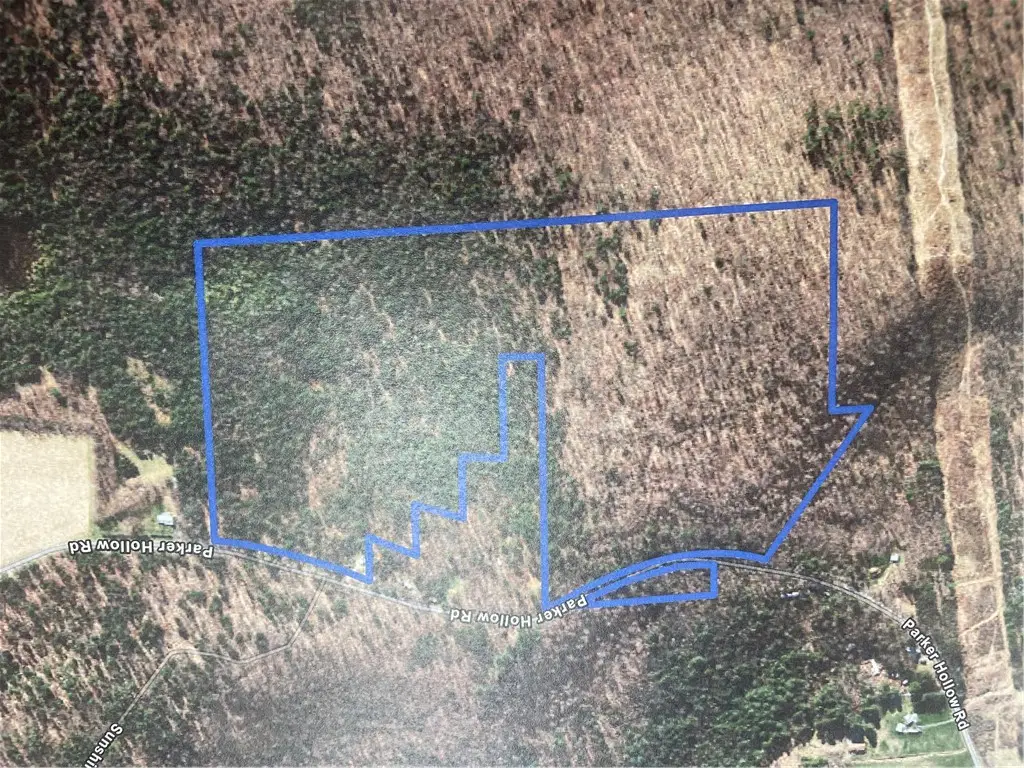 Parker Hollow Road, Sidney, NY 13838 - #1