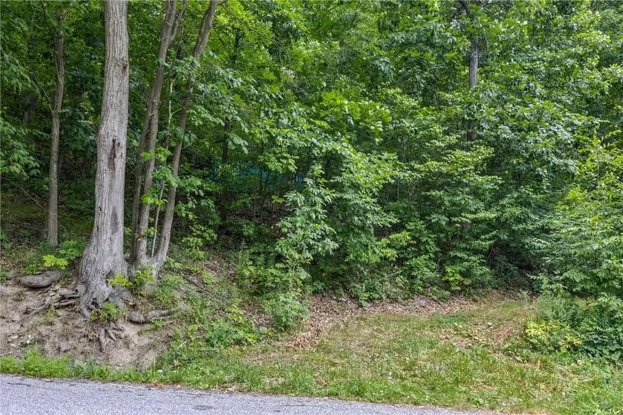 Dug Road, Naples, NY 14512 - #2