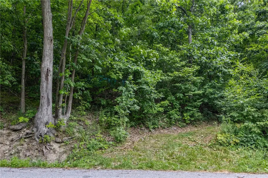 Dug Road, Naples, NY 14512 - #3