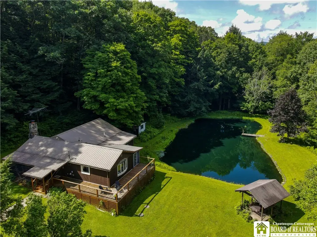 738 Butternut Brook Road, Portville, NY 14770 - #1