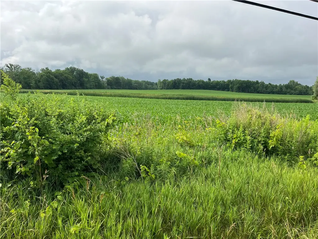 Lakeville Road, Geneseo, NY 14454 - #1