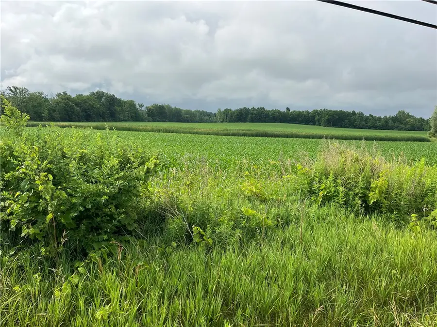 Lakeville Road, Geneseo, NY 14454 - #2